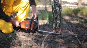 Best Arborist Consultation Services  in Vaiden, MS